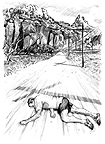Chapter 13